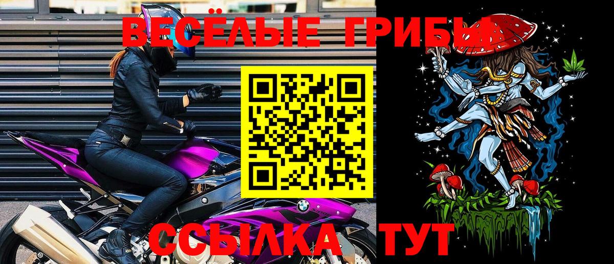 Псилоцибиновые грибы Psilocybe  хочу наркоту  Аксай  Галлюциногенные грибы прущие грибы  Вход с VPN 