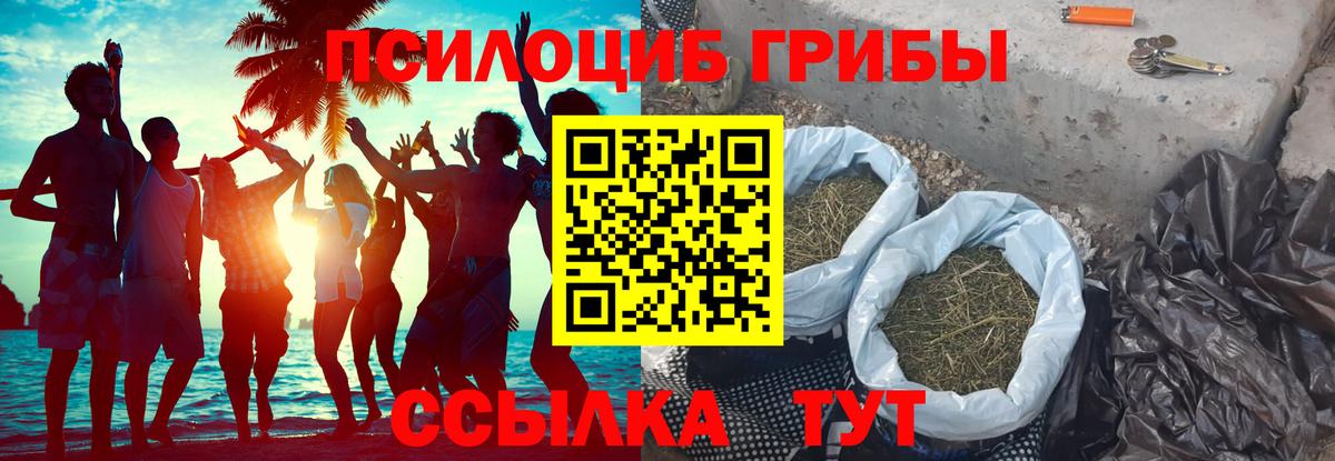 Псилоцибиновые грибы Cubensis Аксай